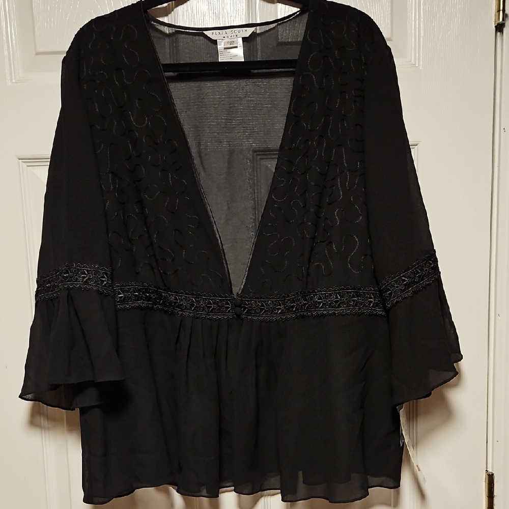 Plaza South Woman Sheer Embroidered Top